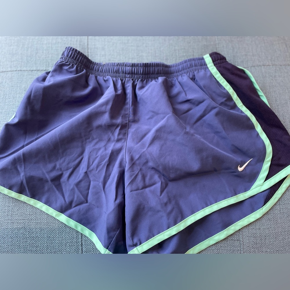 Nike Blue and Green Athletic Shorts with Moisture-Wicking Fabric!